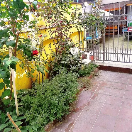 Lägenhet Small Garden